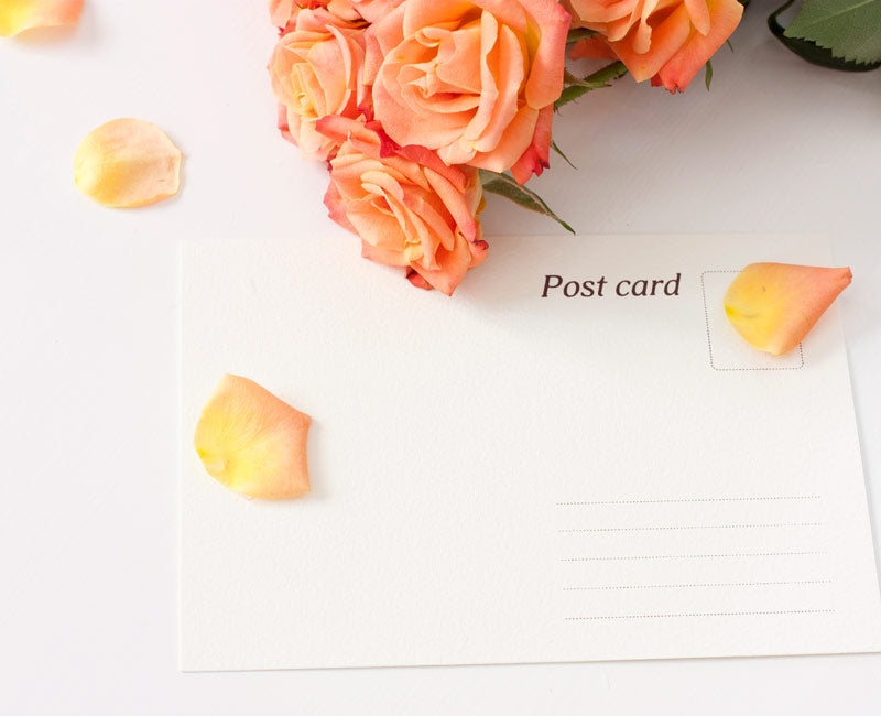Tarjetas soft touch aterciopelado / plazo largo 12-15 días